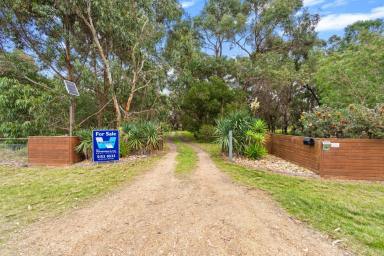 Farm Sold - VIC - Metung - 3904 - A lifestyle opportunity not to be missed in Tambo Bay.  (Image 2)
