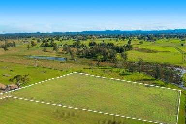 Farm Sold - NSW - Verges Creek - 2440 - Last Block Available - Motivated Vendors!  (Image 2)