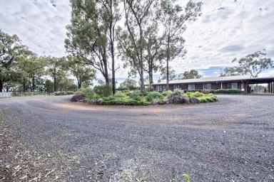 Farm Sold - NSW - Dubbo - 2830 - Exceptional Family Home on Acreage  (Image 2)