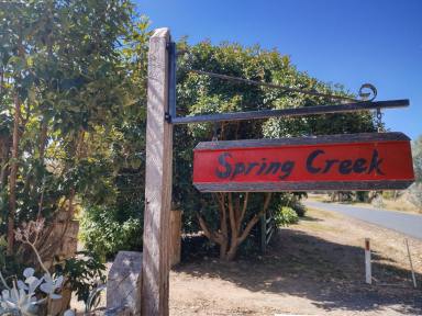 Farm Sold - NSW - Jindera - 2642 - 'Spring Creek' , Lifestyle property on outskirts of Jindera  (Image 2)