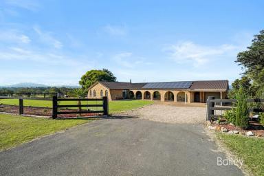 Farm Sold - NSW - Singleton - 2330 - VALLEY VIEWS  (Image 2)