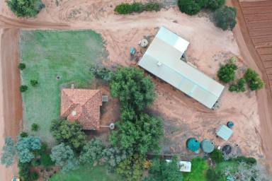 Farm Sold - VIC - Red Cliffs - 3496 - RURAL & LIFESTYLE OPPORTUNITY - 3 TITLES!  (Image 2)