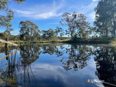 Farm Sold - NSW - Brogo - 2550 - 190 ACRES IN THE BROGO VALLEY  (Image 2)