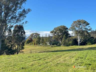 Farm Sold - NSW - Brogo - 2550 - 190 ACRES IN THE BROGO VALLEY  (Image 2)