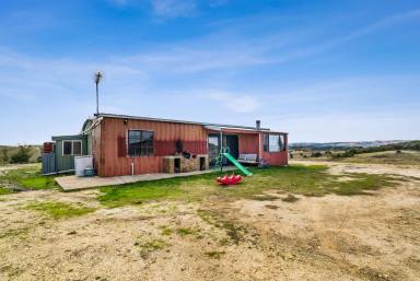 Farm Sold - NSW - Taylors Flat - 2586 - QUIET RURAL LOCATION  (Image 2)