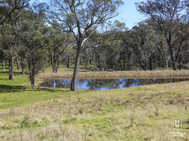 Farm Sold - NSW - Paddys River - 2577 - All the hard work is done!  (Image 2)
