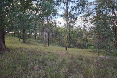 Farm Sold - NSW - Tenterfield - 2372 - Lifestyle with Views.....  (Image 2)