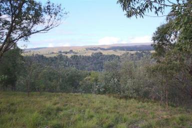 Farm Sold - NSW - Tenterfield - 2372 - Lifestyle with Views.....  (Image 2)