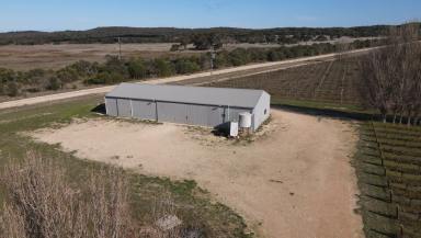 Farm Sold - SA - Robe - 5276 - Waterhouse Range Vineyard - Lifestyle and Income.  (Image 2)