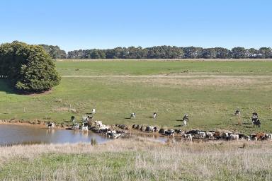 Farm Sold - VIC - Simpson - 3266 - ATTRACTIVE HEYTESBURY DISTRICT COUNTRY  (Image 2)