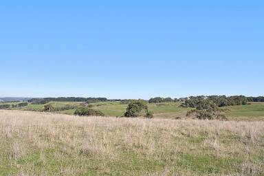 Farm Sold - VIC - Simpson - 3266 - ATTRACTIVE HEYTESBURY DISTRICT COUNTRY  (Image 2)