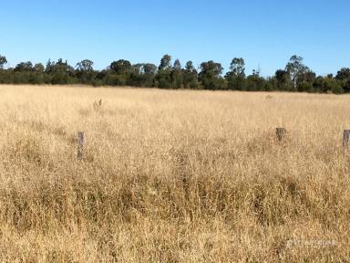 Farm For Sale - QLD - Dalby - 4405 - 19 ACRES ON ARMSTRONG STREET  (Image 2)