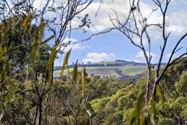 Farm Sold - VIC - Dry Diggings - 3461 - Own a Piece of Gold Fever History, Near Daylesford  (Image 2)