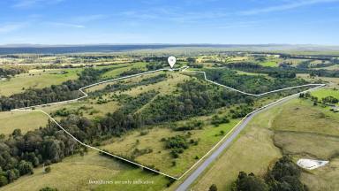 Farm Sold - NSW - Parma - 2540 - Country Estate with Spectacular Views  (Image 2)