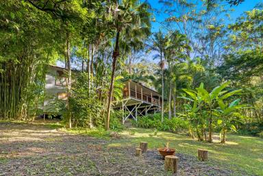 Farm Sold - QLD - Eudlo - 4554 - Welcome to 'Raintree' A Sanctuary of Self Sufficiency  (Image 2)