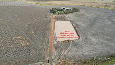 Farm Sold - QLD - Macalister - 4406 - MACALISTER CULTIVATION COUNTRY RARE OPPORTUNITY!  (Image 2)