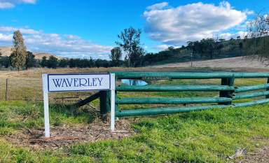 Farm Sold - NSW - Tamworth - 2340 - Scenic Equine Property With Second Home  (Image 2)