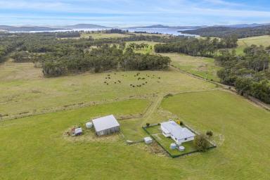 Farm Sold - TAS - Saltwater River - 7186 - Have you always wanted to renovate or need space for a pony?  (Image 2)