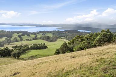 Farm Sold - TAS - Koonya - 7187 - Escape to the Country  (Image 2)
