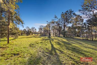 Farm Sold - NSW - Thirlmere - 2572 - The perfect acreage lifestyle just moments to town!  (Image 2)