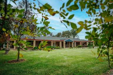 Farm Sold - NSW - Tamworth - 2340 - Priceless Location and Lifestyle  (Image 2)