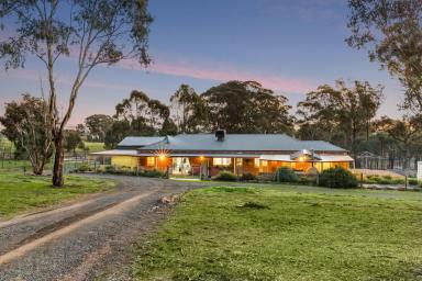 Farm Sold - VIC - Axe Creek - 3551 - PEACEFUL ESTABLISHED LIFESTYLE PROPERTY  (Image 2)