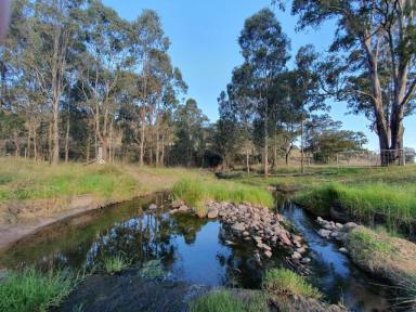 Farm Sold - nsw - Muscle Creek - 2333 - Auction Cancelled  (Image 2)