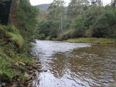 Farm For Sale - VIC - Dargo - 3862 - DARGO RIVER HIDEAWAY  (Image 2)