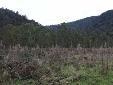 Farm For Sale - VIC - Dargo - 3862 - DARGO RIVER HIDEAWAY  (Image 2)