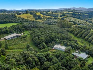 Farm For Sale - NSW - Dunoon - 2480 - Owner Requires the property SOLD.  (Image 2)
