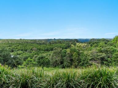 Farm For Sale - NSW - Dunoon - 2480 - Owner Requires the property SOLD.  (Image 2)
