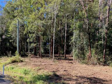 Farm Sold - NSW - Bellingen - 2454 - Imagine Living Here  (Image 2)