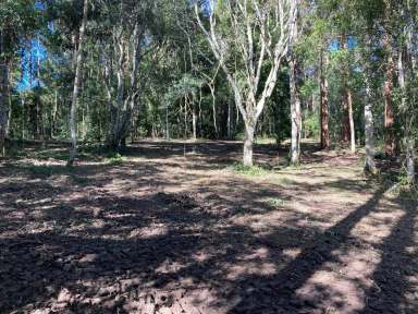 Farm Sold - NSW - Bellingen - 2454 - Imagine Living Here  (Image 2)