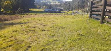 Farm Sold - TAS - Geeveston - 7116 - Fully Fenced Allotment  (Image 2)