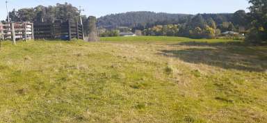 Farm Sold - TAS - Geeveston - 7116 - Fully Fenced Allotment  (Image 2)