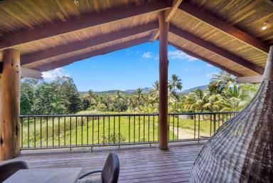 Farm Sold - QLD - Daintree - 4873 - RESTORATION PROJECT WITH SPECTACULAR VIEWS OVER THE DAINTREE RAINFOREST  (Image 2)
