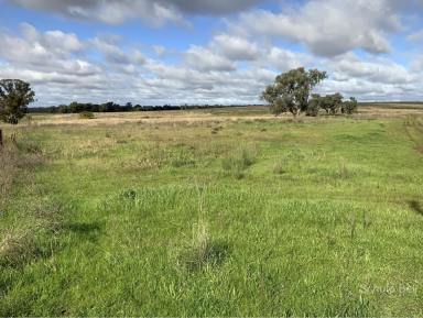 Farm Sold - NSW - Wongarbon - 2831 - Location, Access & Production  (Image 2)