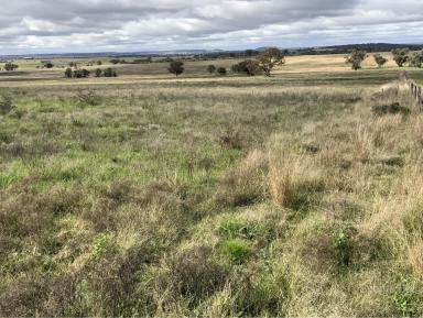 Farm Sold - NSW - Wongarbon - 2831 - Location, Access & Production  (Image 2)