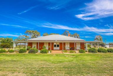 Farm For Sale - NSW - Deniliquin - 2710 - Exceptional Lifestyle Property with Established Equine Facilities - 80.53Ha/199Ac  (Image 2)