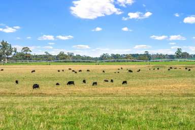 Farm Sold - VIC - Bengworden - 3875 - 'SOUTH MOORMURNG' - 571ha / 1413 acres.  (Image 2)