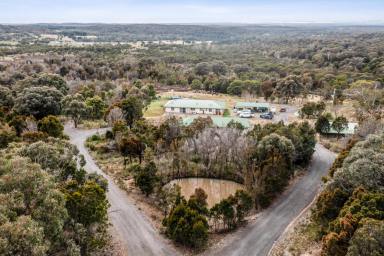 Farm Sold - NSW - Goulburn - 2580 - It has to go  (Image 2)