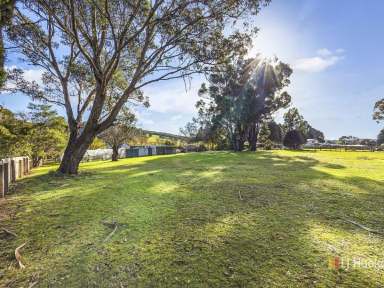 Farm Sold - TAS - Railton - 7305 - Home in the Hills  (Image 2)