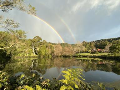 Farm Sold - NSW - Kiama - 2533 - 'Jenera Vale' - Exceptional Rural Lifestyle  (Image 2)