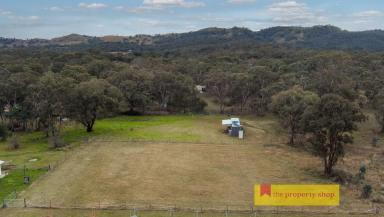 Farm Sold - NSW - Mudgee - 2850 - REST, RESIDE OR SUBDIVIDE  (Image 2)