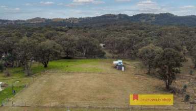 Farm Sold - NSW - Mudgee - 2850 - REST, RESIDE OR SUBDIVIDE  (Image 2)