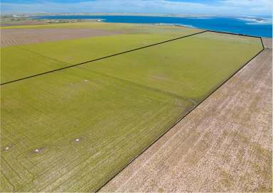 Farm Sold - SA - Streaky Bay - 5680 - Coastal Lifestyle Farm  (Image 2)