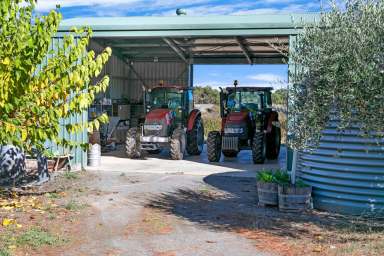 Farm Sold - SA - McLaren Vale - 5171 - 40 Acres at McLaren Vale Entrace  (Image 2)