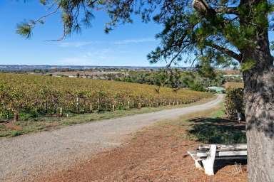 Farm Sold - SA - McLaren Vale - 5171 - 40 Acres at McLaren Vale Entrace  (Image 2)