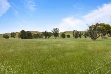 Farm Sold - VIC - Crowlands - 3377 - 'Glendhu Hills' Grazing / Cropping  (Image 2)