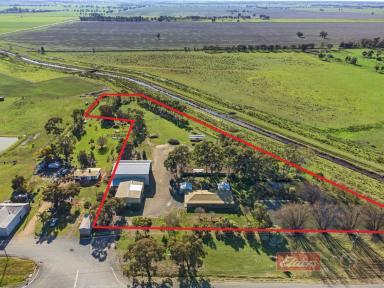 Farm For Sale - NSW - Blighty - 2713 - Attention Transport Operators, Engineers, Mechanics, Tradesman, Farmers or Lifestyle Enthusiasts, This Property Maybe Perfect For You!  (Image 2)